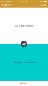 Trees: North & Central Florida screenshot