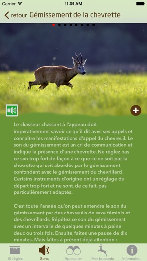 Le meilleur appeau à chevreuil pour la période du rut