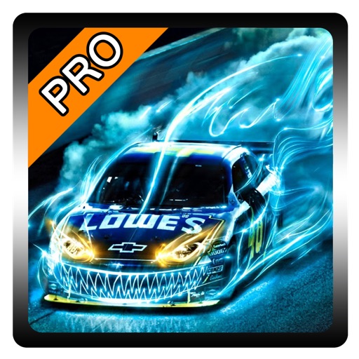 3D Cartoon Racing Pro