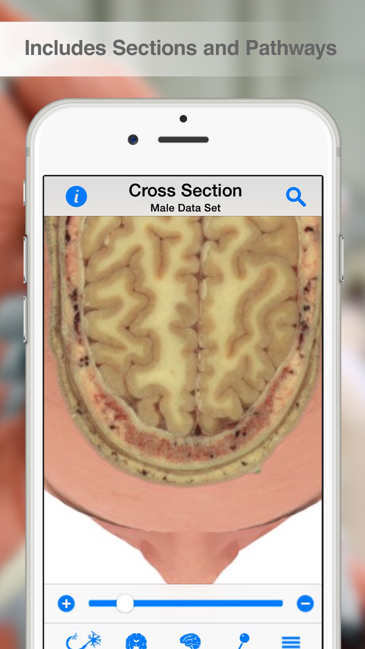 Screenshot 4 of Pocket Brain