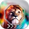 BlurLock – Animals in the Zoo : Blur Lock Screen Photo Maker Wallpapers Pro