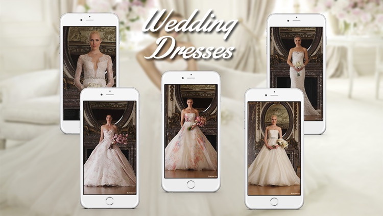 Wedding Dress & Bridal Gown Ideas