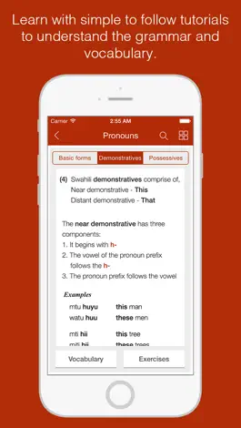 Game screenshot Swahili Primer - Learn To Speak And Write Swahili Language: Grammar, Vocabulary & Exercises apk