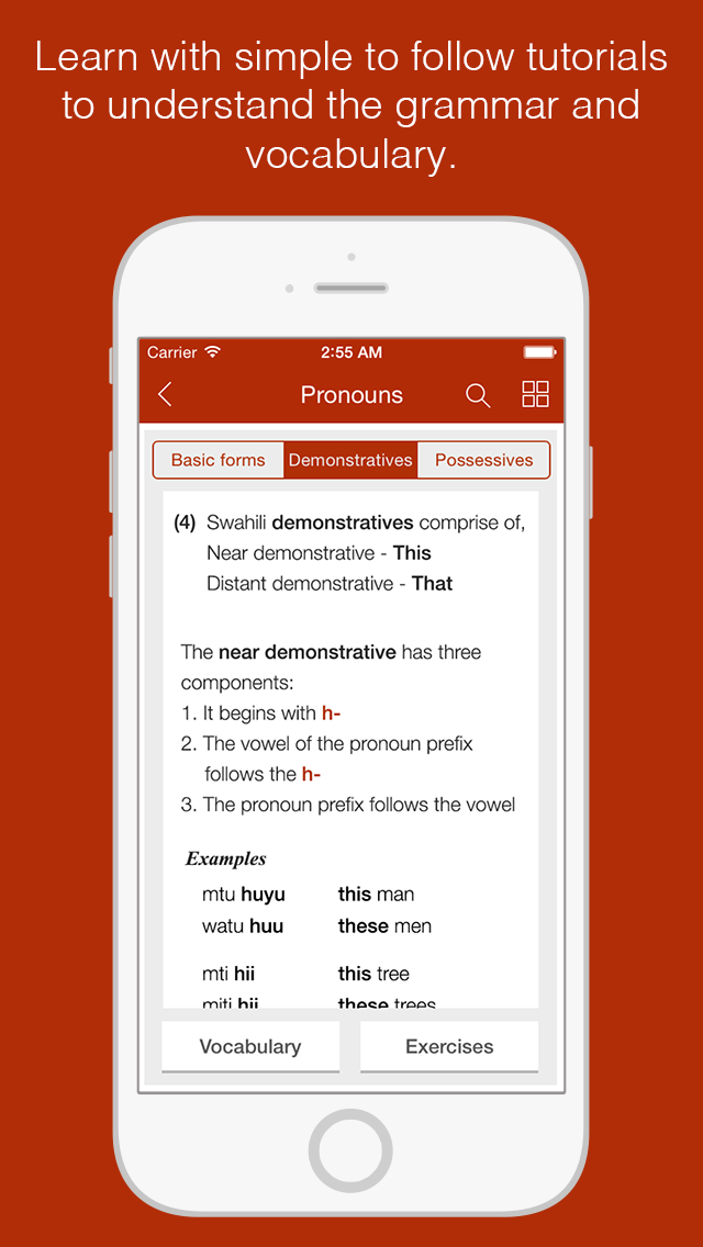 Swahili Primer - Learn To Speak And Write Swahili Language Grammar Vocabulary and Exercises