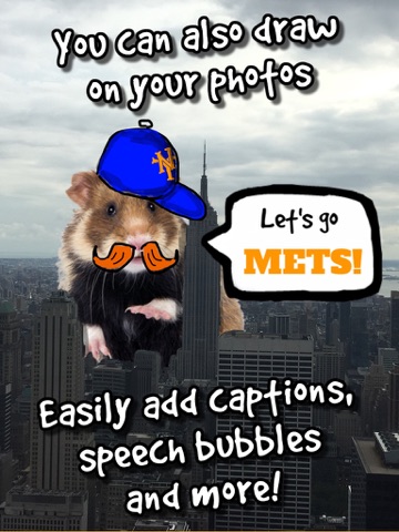 Screenshot #6 pour hamstergram - make people hamsters instantly and more!