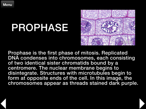 Screenshot #6 pour Plant Histology Lite