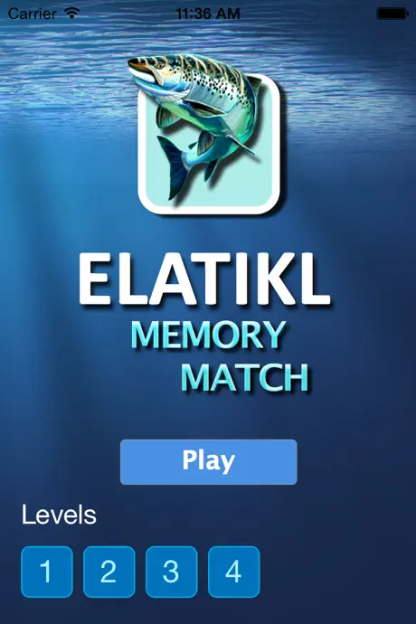 Elatikl Matching Game
