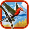 Crazy Bird Hunter : Bow & Arrow Hunting