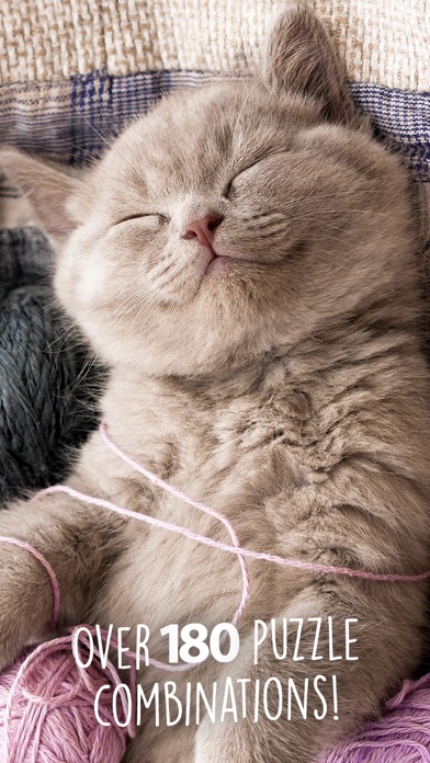 Screenshot #2 pour Kittens Jigsaw Wonder puzzles pour enfants