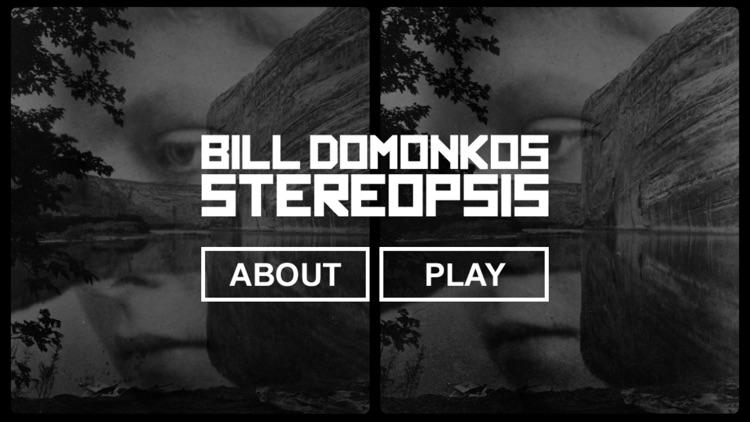 Stereopsis by Bill Domonkos