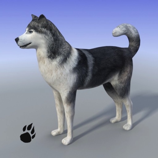 Snow Dog Survival iOS App