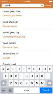 spanish phrasebook: conversational spanish iphone screenshot 4