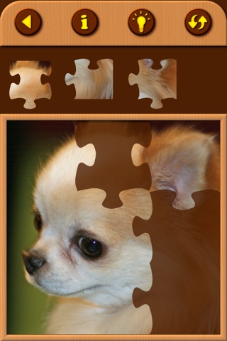 Chihuahua Cute Pet Baby Animal Jigsaw Puzzles Educational Toddler Game for Kids who Love Educational Memory Learning Games for Free screenshot 4