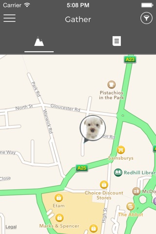Gather! screenshot 2