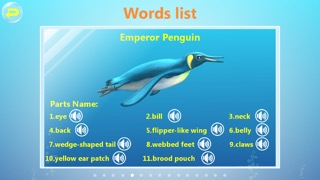 Amazing Ocean Animals- Educational Learning Apps for Kids Freeのおすすめ画像5