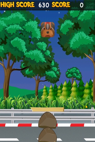 Hairy and Loid Adventure Quest - Stacking Animals Free screenshot 2