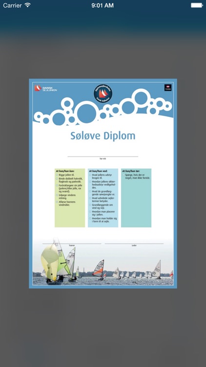 Diplomsejler - Lær at sejle screenshot-3