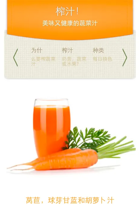 美兔集运
