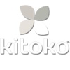 Kitoko Consulting Cam