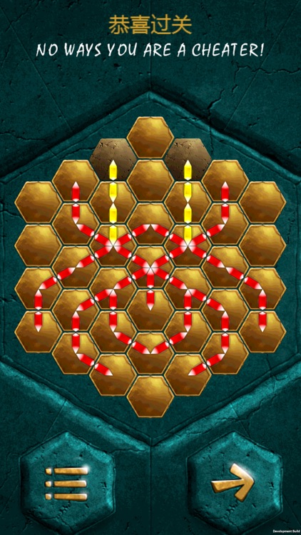 蜂巢谜题 screenshot-4