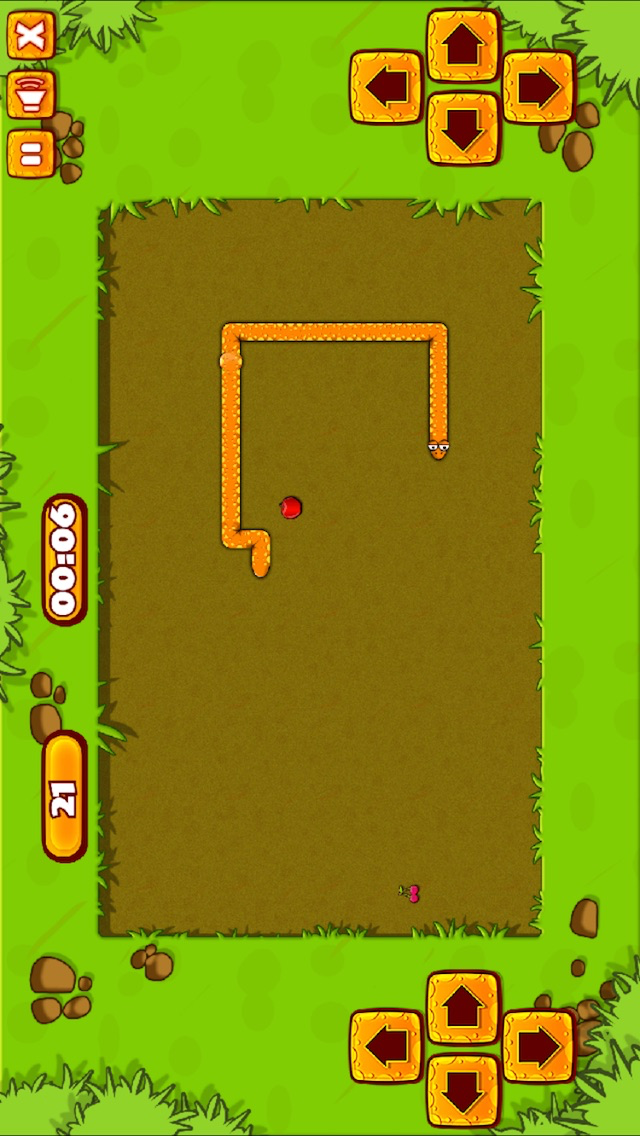 Snake Slither Puzzle