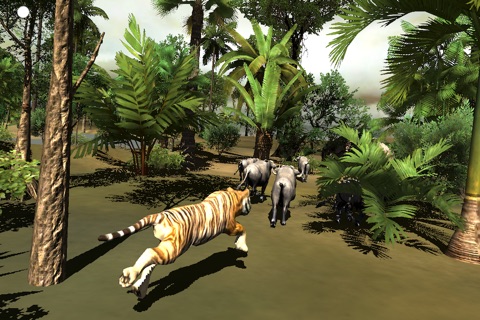 Tiger Jungle screenshot 2