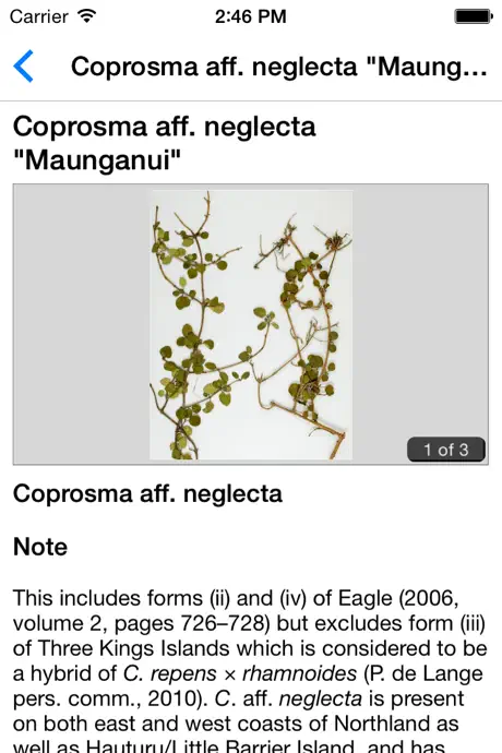 NZ Coprosma Key