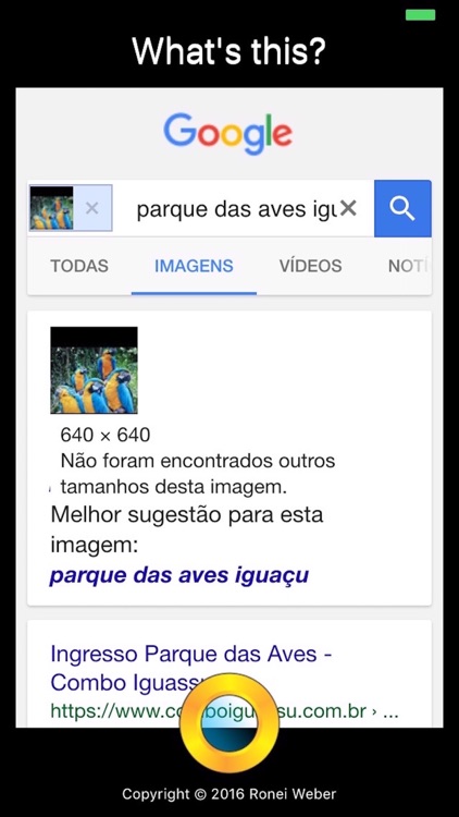 What is This? Photo Search