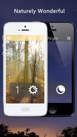 Game screenshot Nature Sounds Free Clockstand - Naturely mod apk