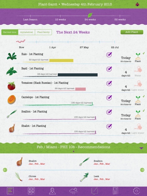 The Veggie Planner