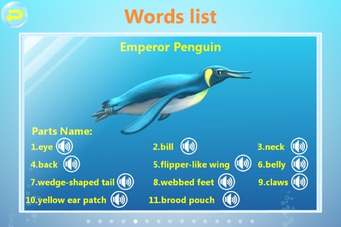 Amazing Ocean Animals- Educational Learning Apps for Kids Freeのおすすめ画像5