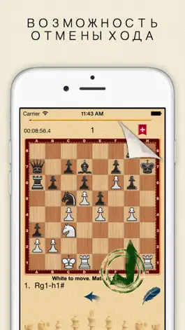 Game screenshot Mate in 1? OK! apk