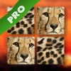 Play with Wildlife Safari Animals - Memo Game photo for preschoolers