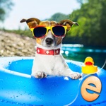 Download Jigsaw Wonder Puppies Puzzles for Kids Free app