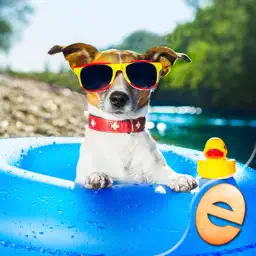 Jigsaw Wonder Puppies Puzzles for Kids Free app icon
