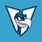 The Vermont Vultures are a basketball club that plays in the Melbourne East Basketball Association