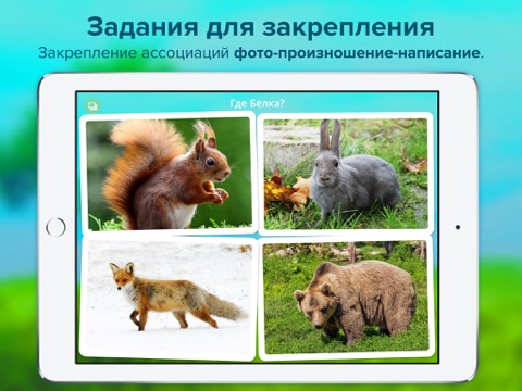 Screenshot #6 pour Кто тут? Учим животных вместе с детьми + развивающие карточки + звуки зверей детям бесплатно