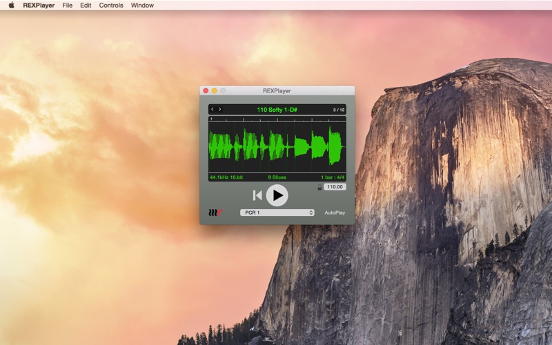 Screenshot #1 pour REXPlayer
