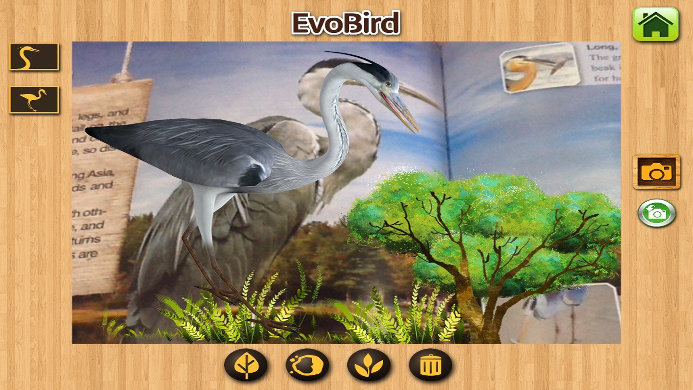 EVO BIRD - Augmented Reality