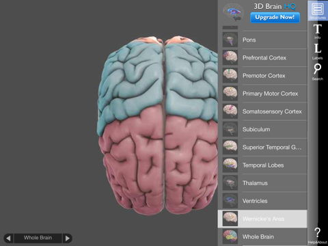 Screenshot #6 pour 3D Brain