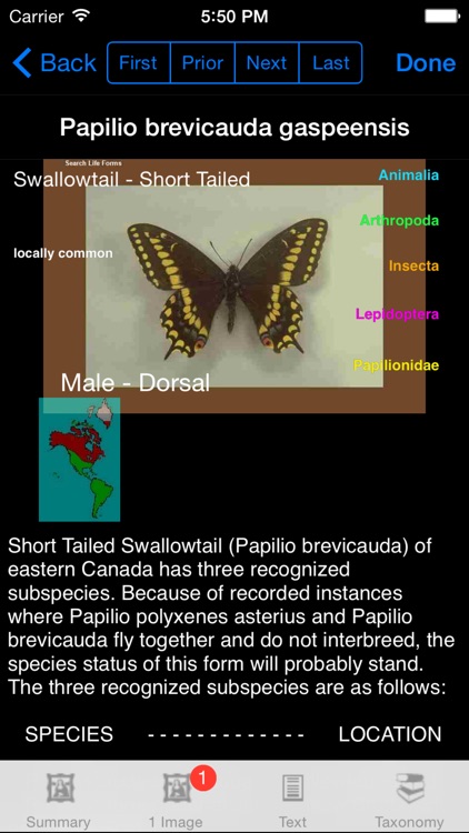 Butterflies & Moths of North America screenshot-3