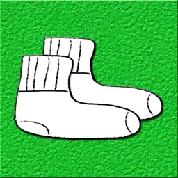 Sock Matcher app icon