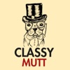 Classy Mutt