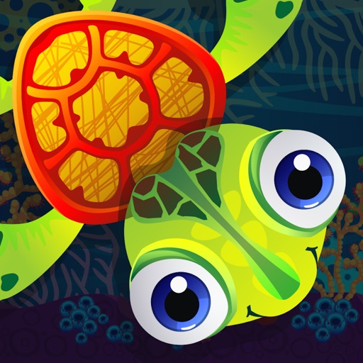 Turtle Jet Adventure icon