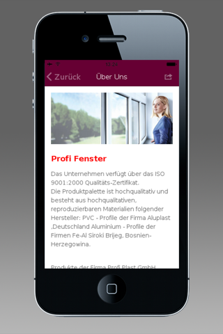 Profi Fenster screenshot 2