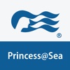 Princess Cruises Messenger