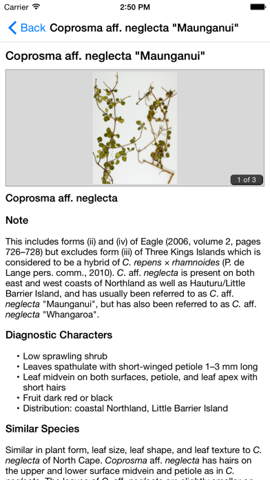 NZ Coprosma Keyのおすすめ画像4