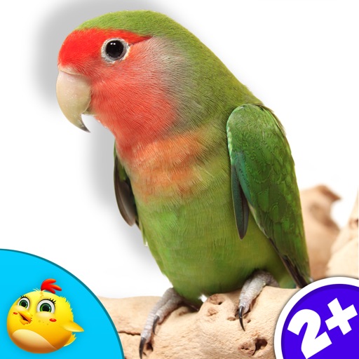 Real Bird Sounds iOS App