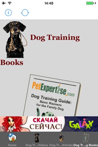 All Dog Training Tips and Tricks screenshot 4