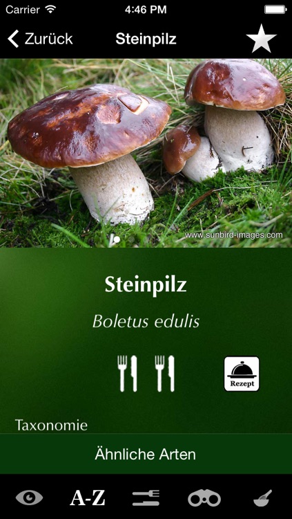 Pilze Sammeln, Bestimmen und Zubereiten - der Pilzführer für Wald und Natur screenshot-3